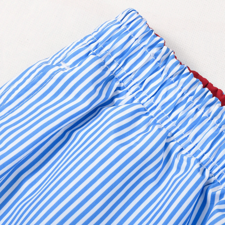 Mistral | Vertical Striped Drawstring Swim Shorts